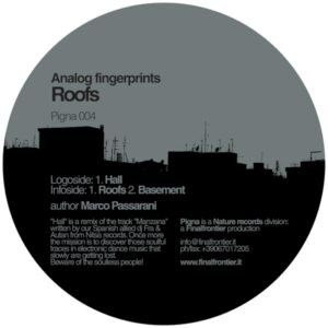 Analog Fingerprints – Roofs