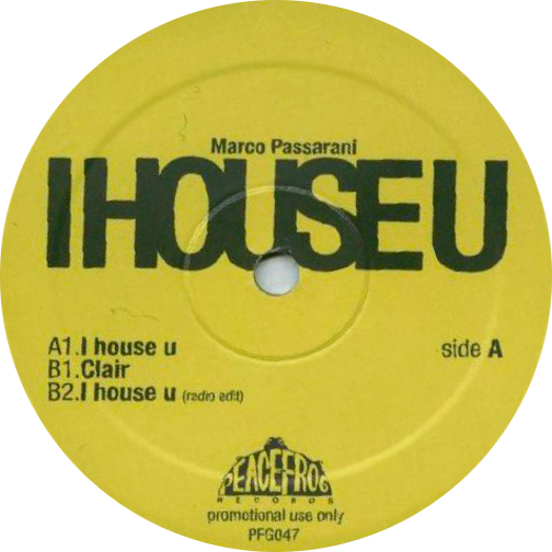 Read more about the article Marco Passarani – I House U