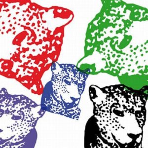 Tiger & Woods – Through The Green