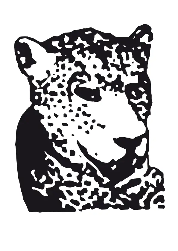 Read more about the article The return of the Tiger